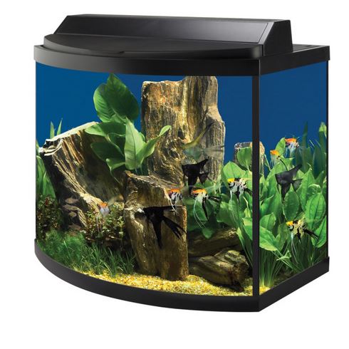 fishTank